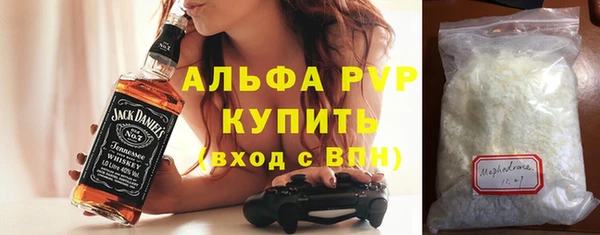 прущие грибы Абаза