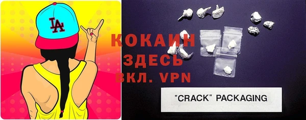 прущие грибы Абаза
