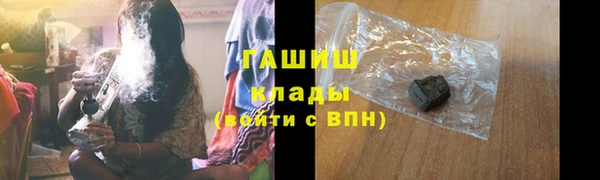 прущие грибы Абаза