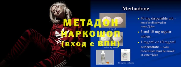 прущие грибы Абаза