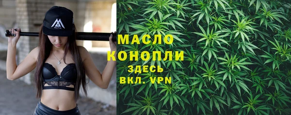 прущие грибы Абаза