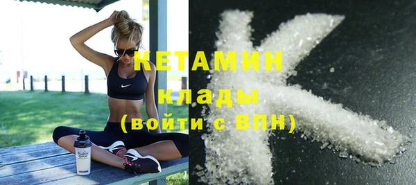 прущие грибы Абаза