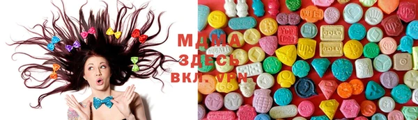 прущие грибы Абаза