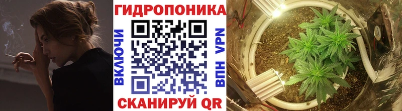 МАРИХУАНА ГИДРОПОН  Ковдор 